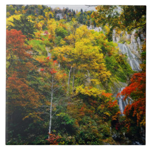 Picturesque View of Fall Hagoromo Falls Hokkaido Tile