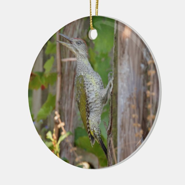 Picus Viridis - Grünspecht Ceramic Tree Decoration (Left)