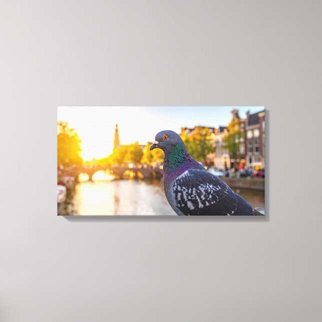pidgeon canvas print (Front)