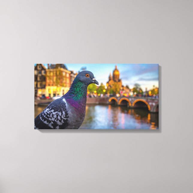 Pidgeon in city canvas print (Front)