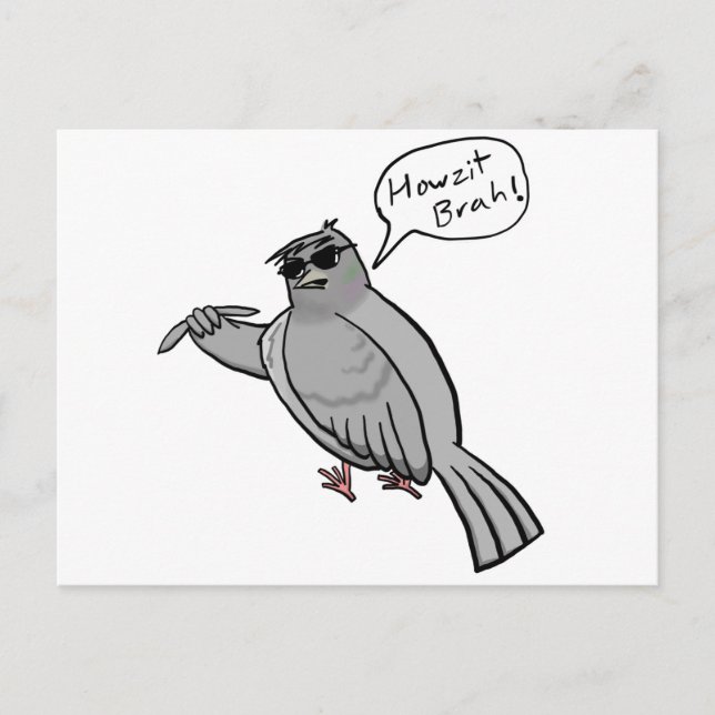 Pidgin Pigeon Postcard (Front)
