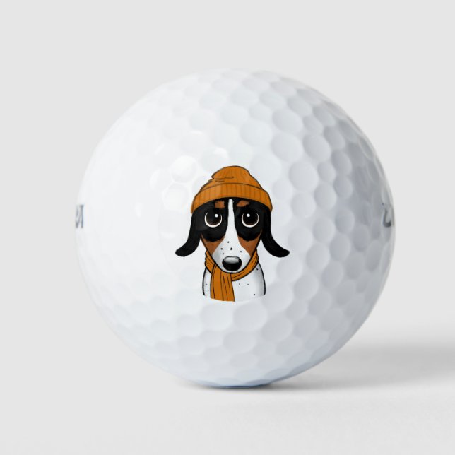Piebald Dachshund Cute Hipster Dog Golf Balls (Front)