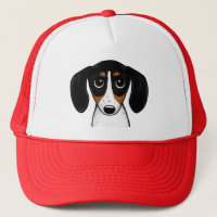 Piebald Dachshund Cute Puppy Dog