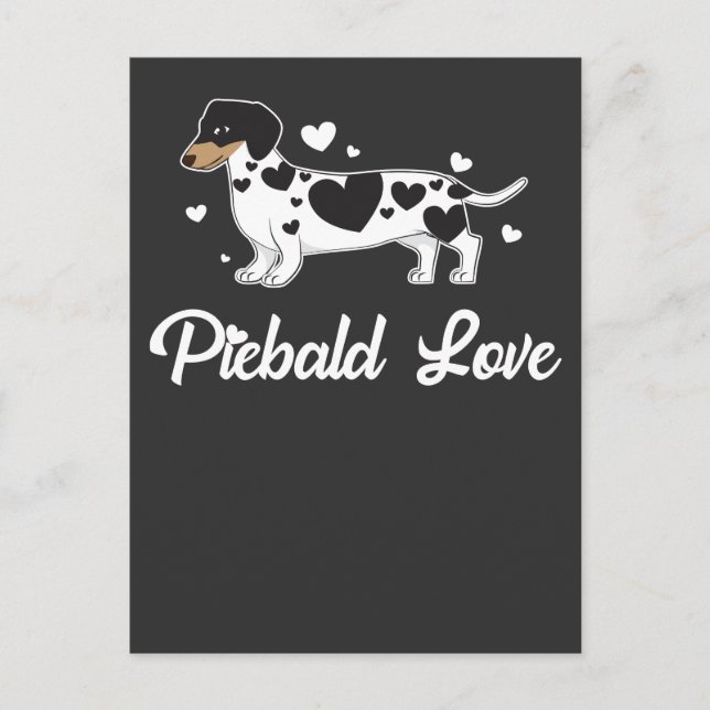 Piebald Dachshund Dog Owner Gift Postcard (Front)