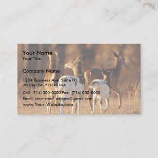 Piebald deer business card