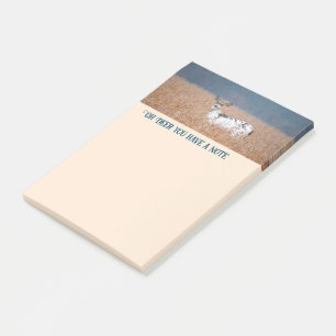 Piebald Deer Photo Post-it Notes