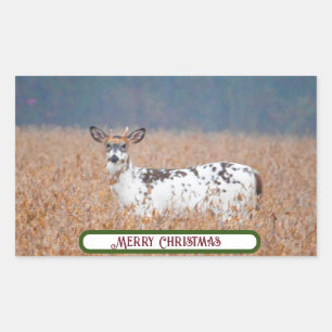 Piebald Deer Photo Stickers