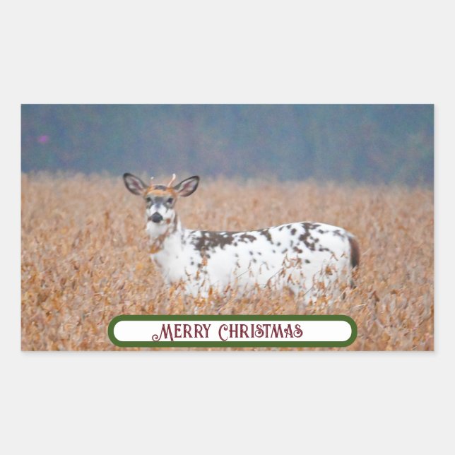 Piebald Deer Photo Stickers (Front)