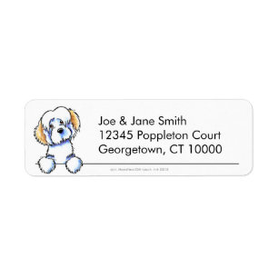 Piebald Havanese Clean & Simple