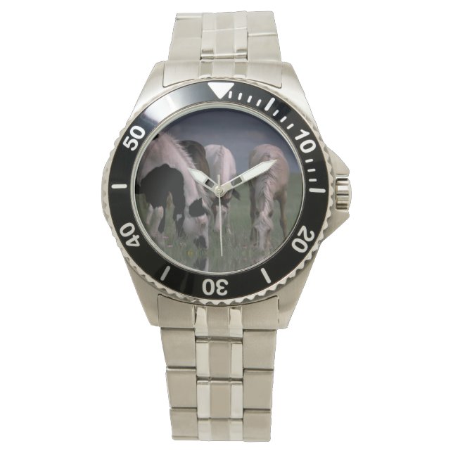 Piebald Horse Family Drinking, Mens Wrist-Watch Watch (Front)