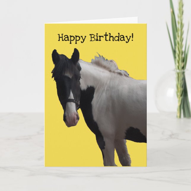 Piebald Paint Pony Card (Front)