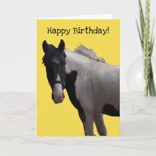Piebald Paint Pony Card