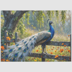 Piebald Peacock on Split rail fence Tissue Paper