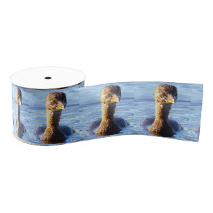 Pied-billed Grebe Bird Ribbon Grosgrain Ribbon