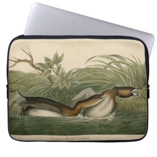 Pied-billed Grebe from Audubon's Birds of America  Laptop Sleeve