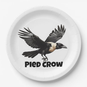 Pied crow with wings open paper plate
