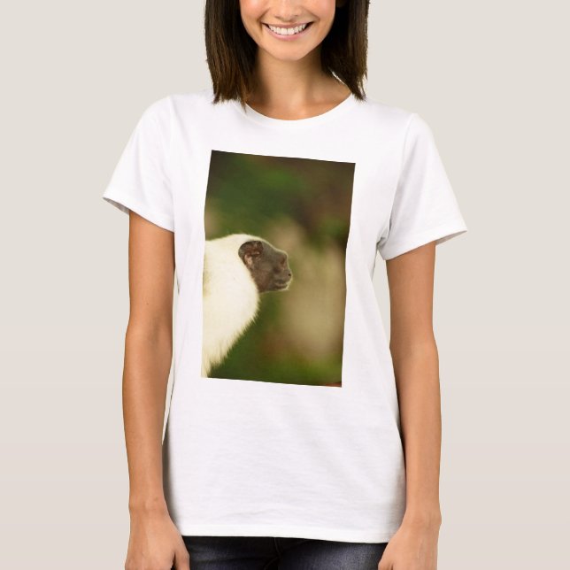 Pied Tamarin T-Shirt (Front)