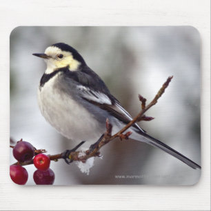 Pied Wagtail Mousemat