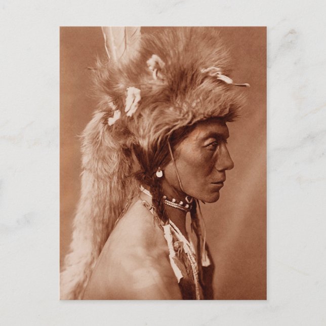 Piegan Blackfoot Native American Man Postcard (Front)