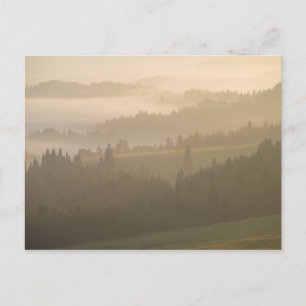 Pieniny fog postcard