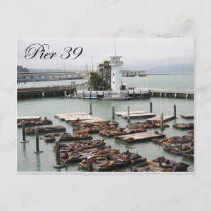 Pier 39 postcard