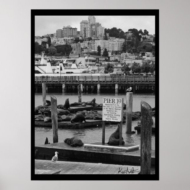 Pier 39 poster (Front)