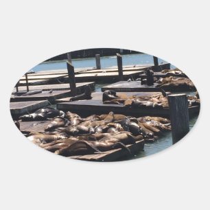 Pier 39 San Francisco California Oval Sticker