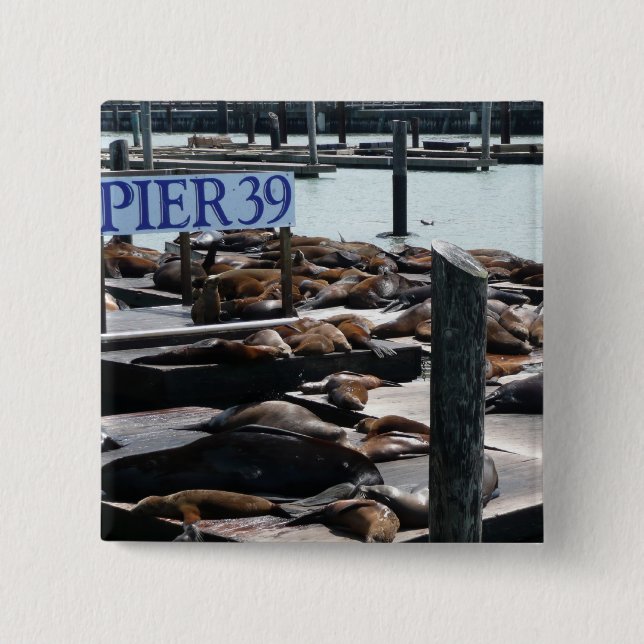 Pier 39 Sea Lions 15 Cm Square Badge (Front)