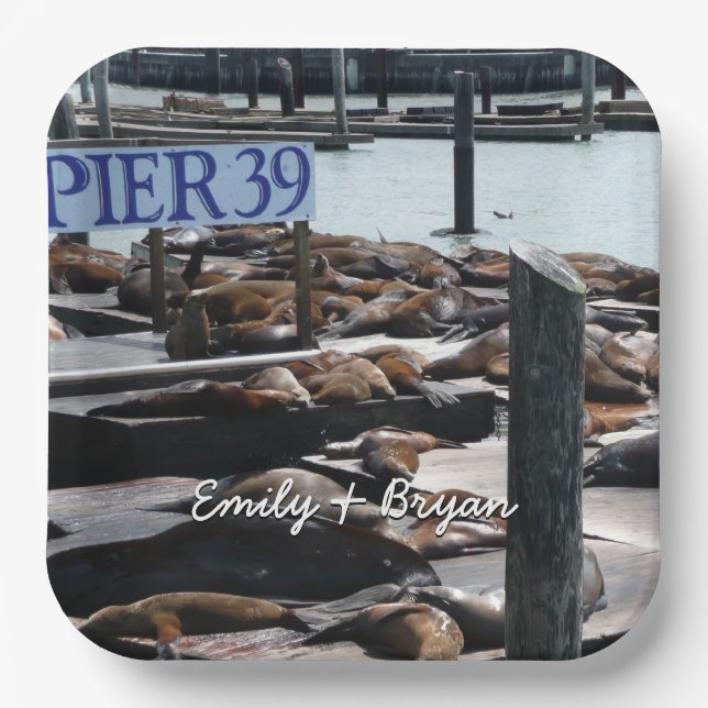 Pier 39 Sea Lions Paper Plate (Front)