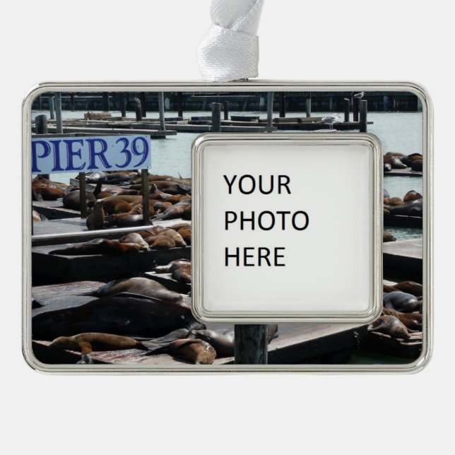Pier 39 Sea Lions Silver Plated Framed Ornament (Front)