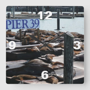 Pier 39 Sea Lions Square Wall Clock