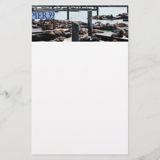 Pier 39 Sea Lions Stationery (Front)
