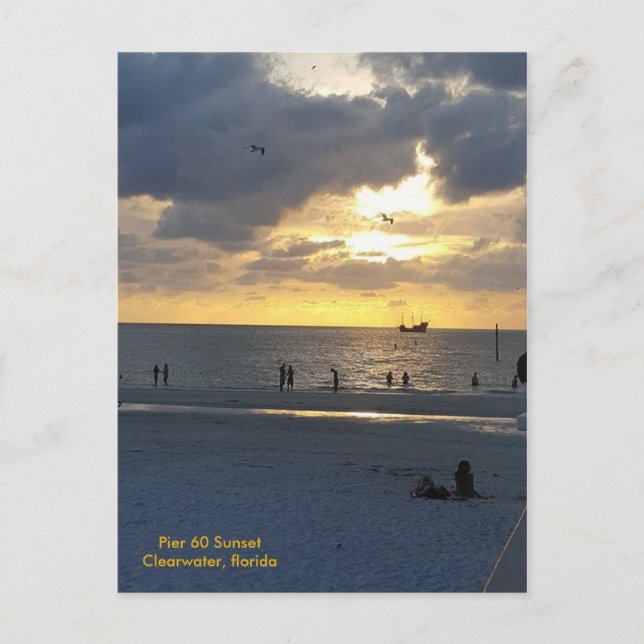 Pier 60 at Sunset Postcard (Front)