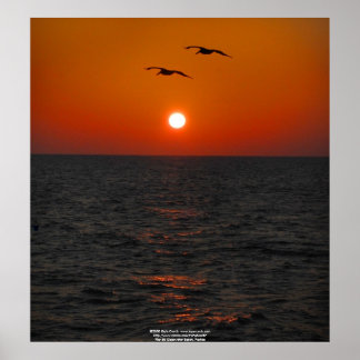 Pier 60 Clearwater, FL  Sunset Poster