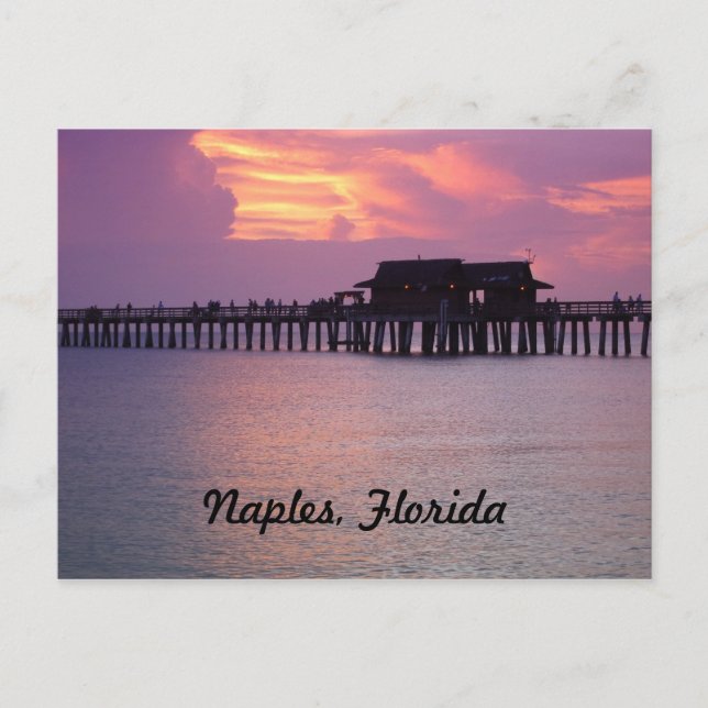 pier in Naples, Florida at sunset Postcard (Front)
