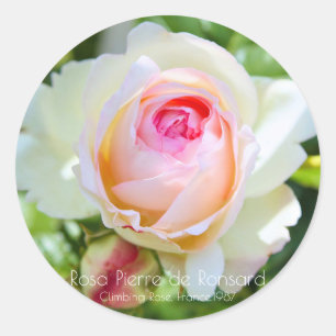 Pierre de Ronsard Classic Round Sticker