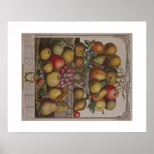Pieter Casteels, Twelve Months of Fruit, December Poster (Front)