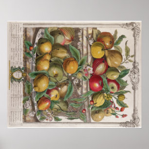 Pieter Casteels, Twelve Months of Fruits, April Poster
