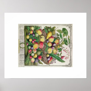 Pieter Casteels, Twelve Months of Fruits, July Poster