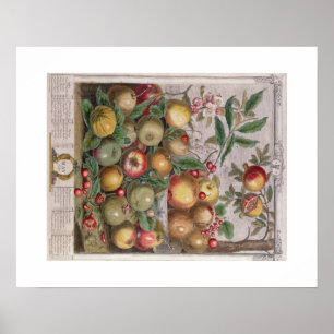 Pieter Casteels, Twelve Months of Fruits, May Poster