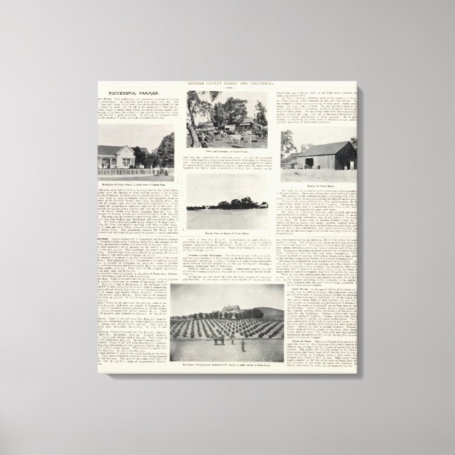 Piezzi Ranch, Harris Vineyard, California Canvas Print (Front)