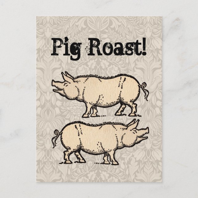 Pig Antique Piggy Cute Vintage Illustration Postcard (Front)