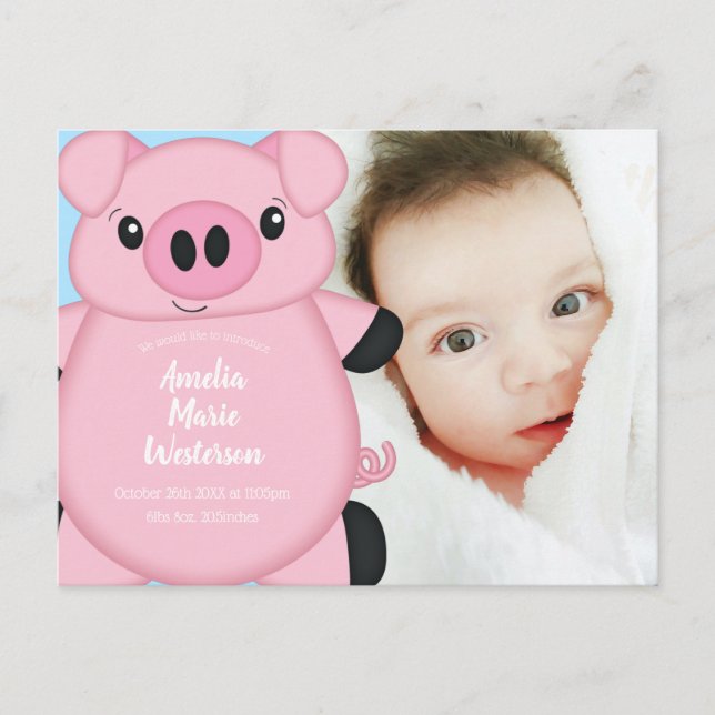 Pig Baby Shower Farm Blue Boy Postcard (Front)