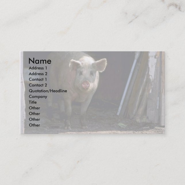 Pig Business Card (Front)