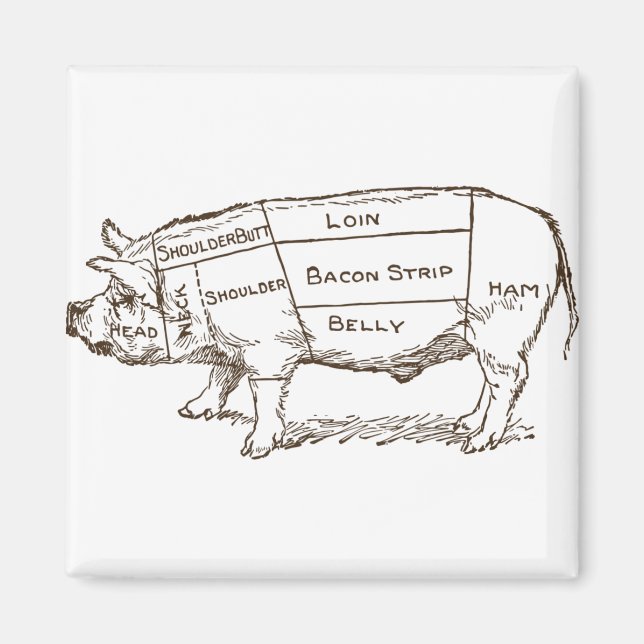 Pig Butcher Chart (3) Magnet (Front)