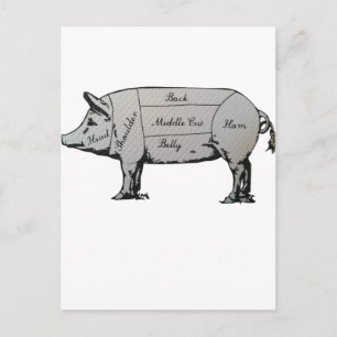 Pig Diagram Postcard