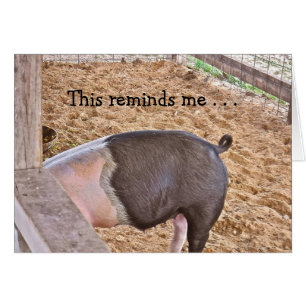 PIG ENJOYING A MEAL /REMINDS ME/ LET'S HAVE LUNCH