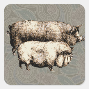Pig Farm Country Antique Illustration Art Square Sticker