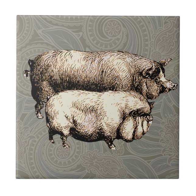 Pig Farm Country Antique Illustration Art Tile (Front)