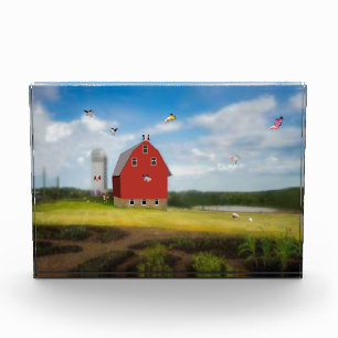 Pig Farm Photo Block